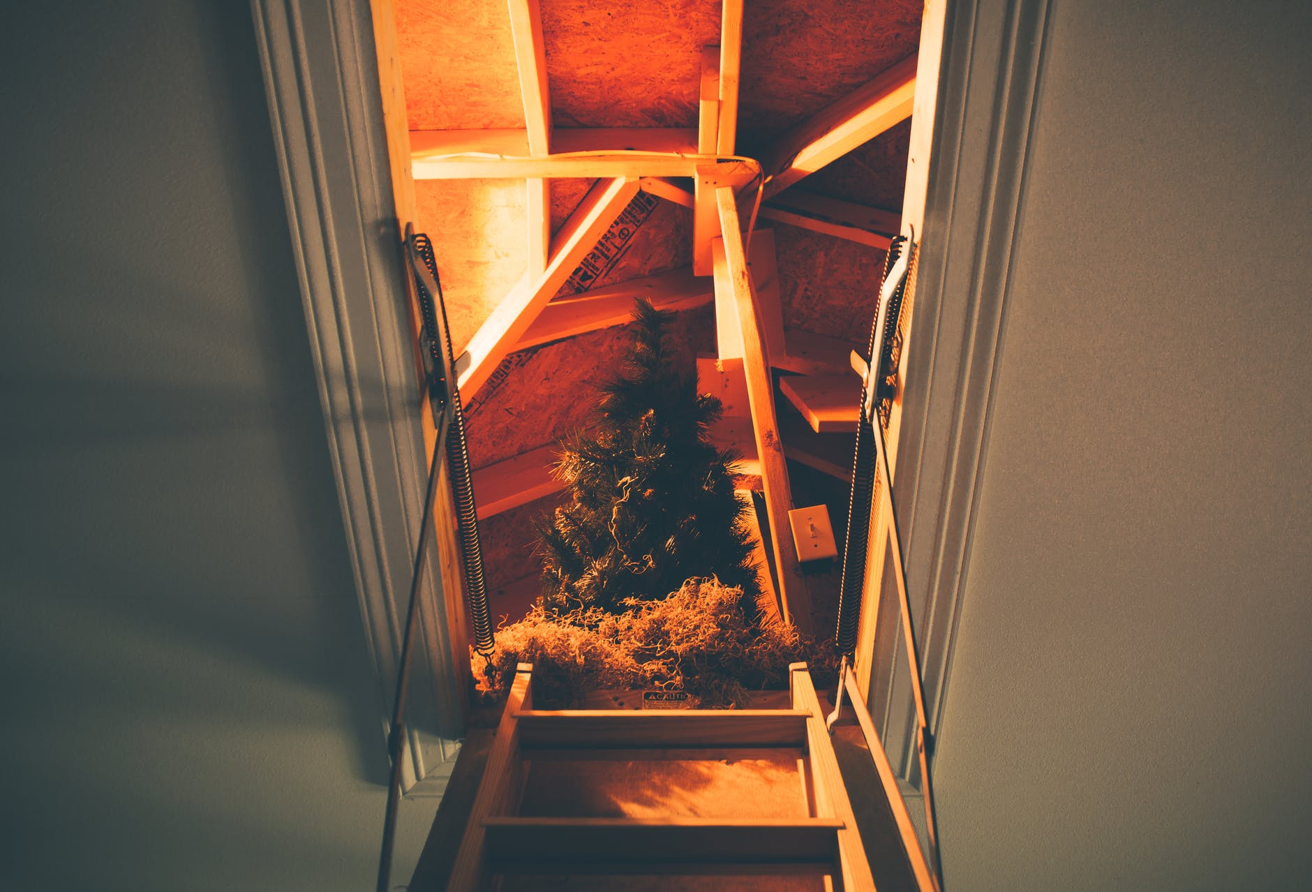 Attic and roof ventilation
