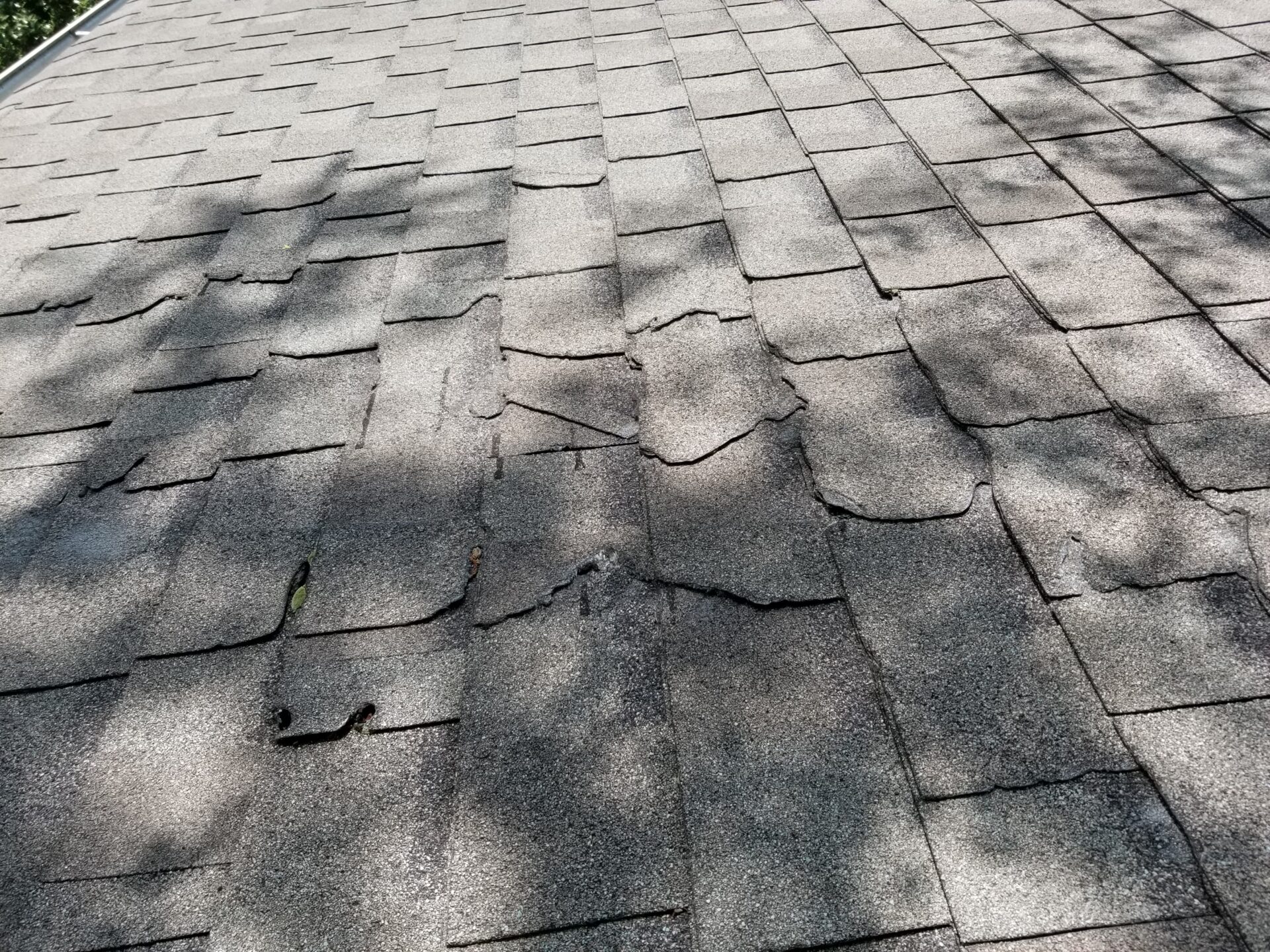 damaged shingles in kettering