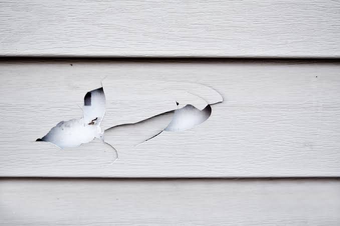 siding repair image 1