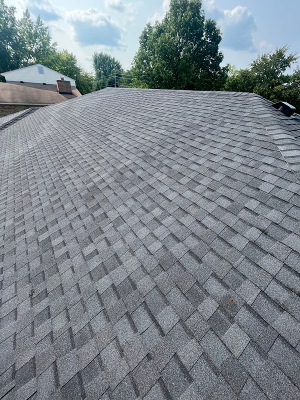 Beavercreek shingle roof replacement cost