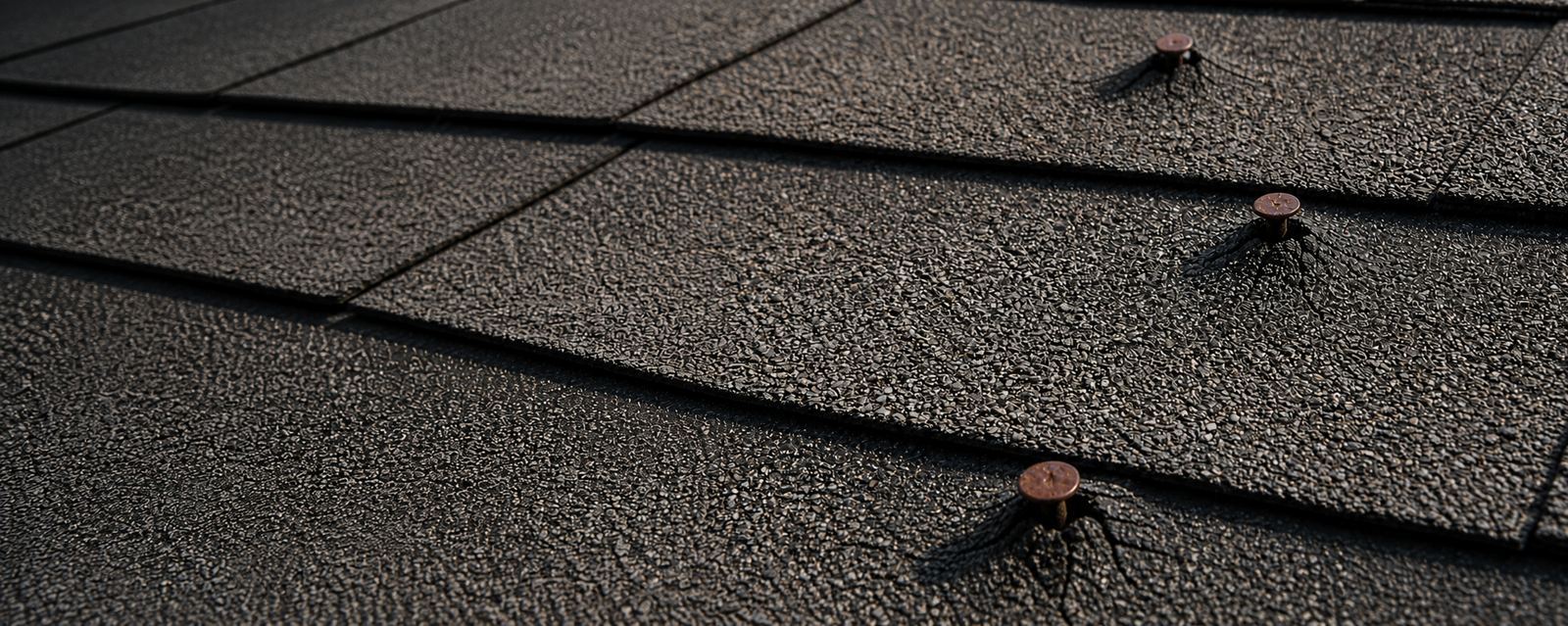 roof leak, nail pop, roof nail pops, roof leaking, shingle loose, shingle leak